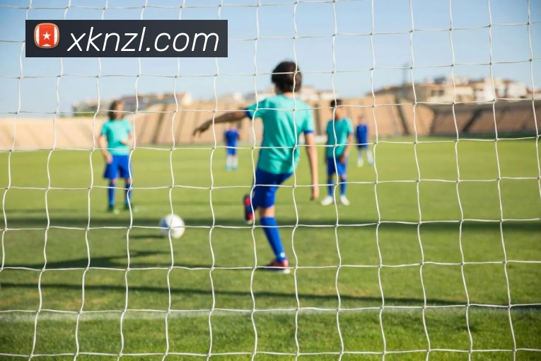 尊龙凯时平台生态图