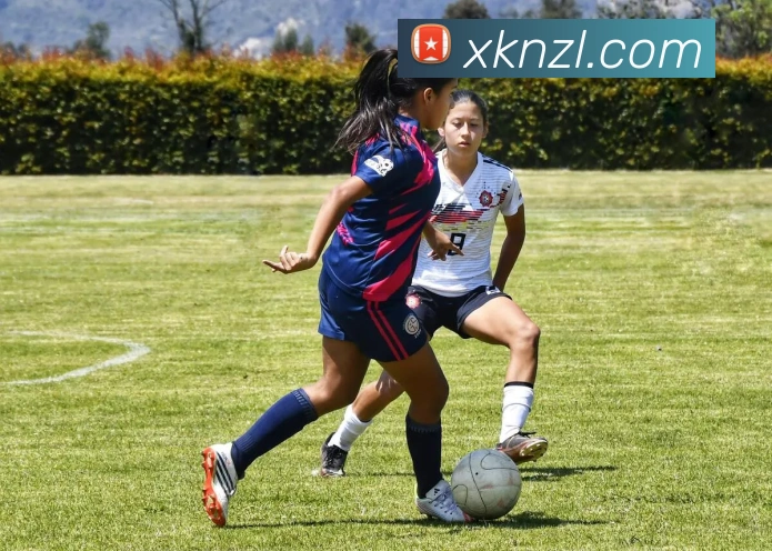 尊龙凯时APP 封面图